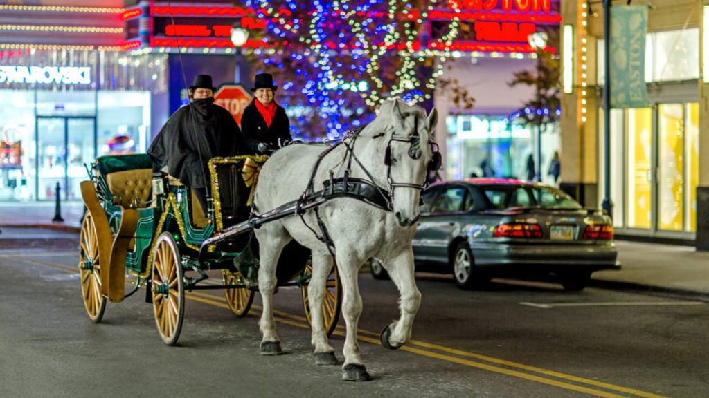 Holiday Carriage Rides